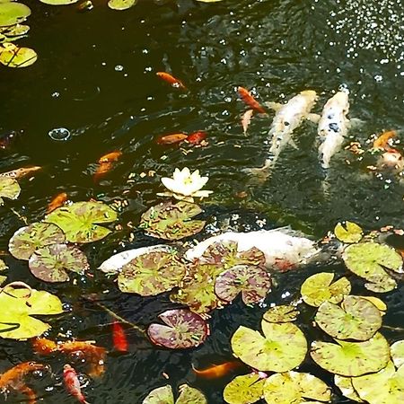 Chez Marie Bed & Breakfast Cercy-la-Tour Dış mekan fotoğraf